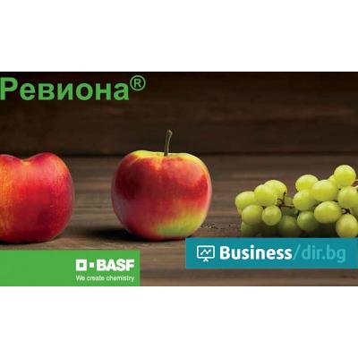 Ревиона
