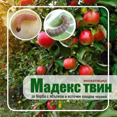 Мадекс Твин 100 мл.