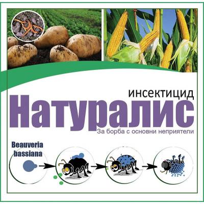 Натуралис