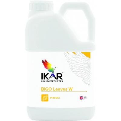 Ikar BIGO Leaves W